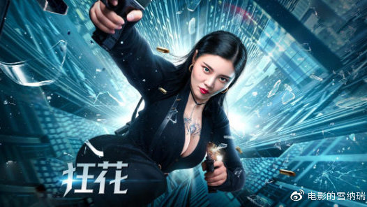 巴西护照哪里能买到